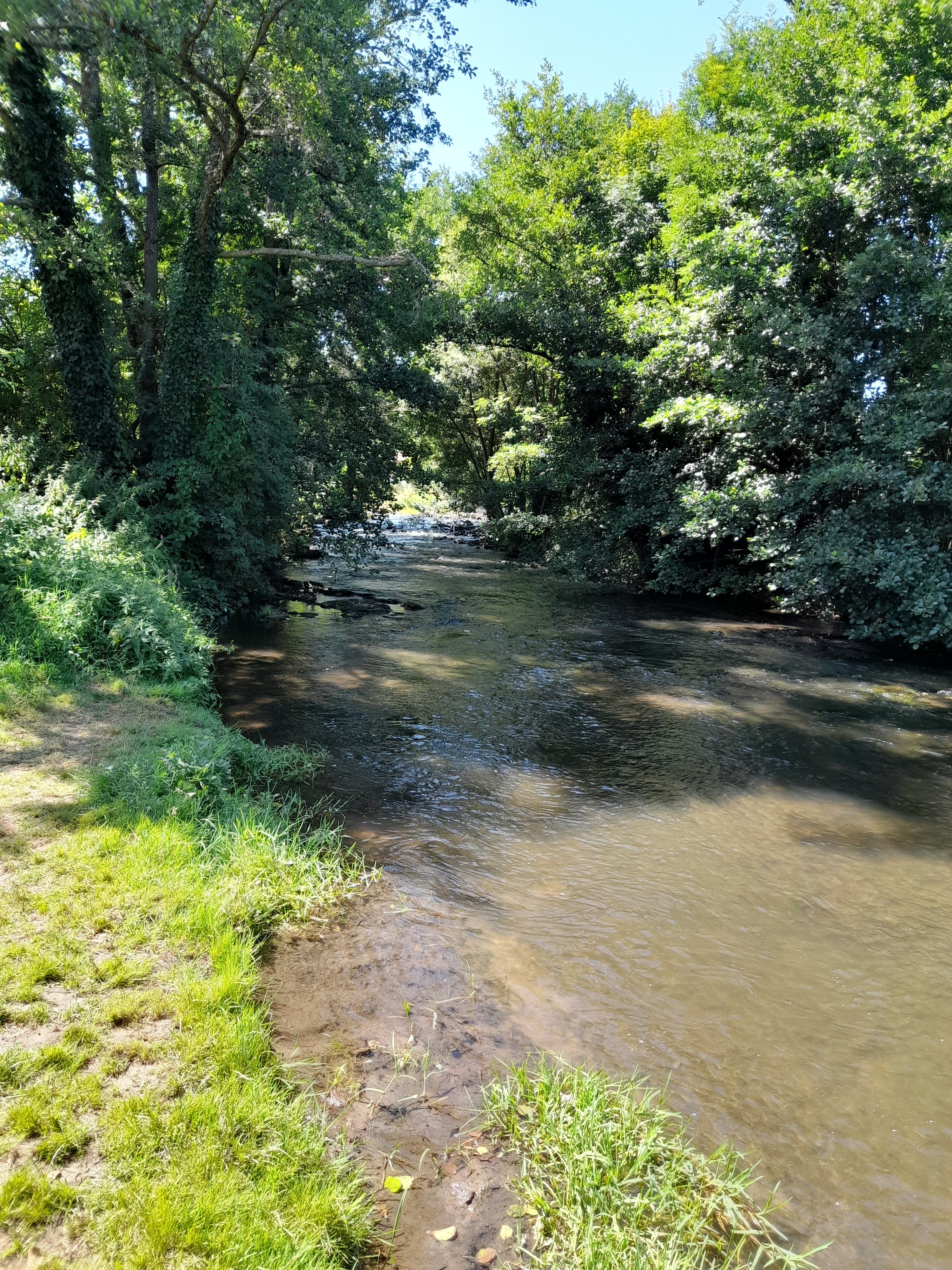 Photo n° 4 de l'avis de Manuel.n fait le 20/07/2023 à 16:22