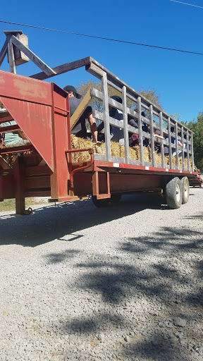 Tourist Attraction «Lucky Ladd Farms», reviews and photos, 4374 Rocky Glade Rd, Eagleville, TN 37060, USA