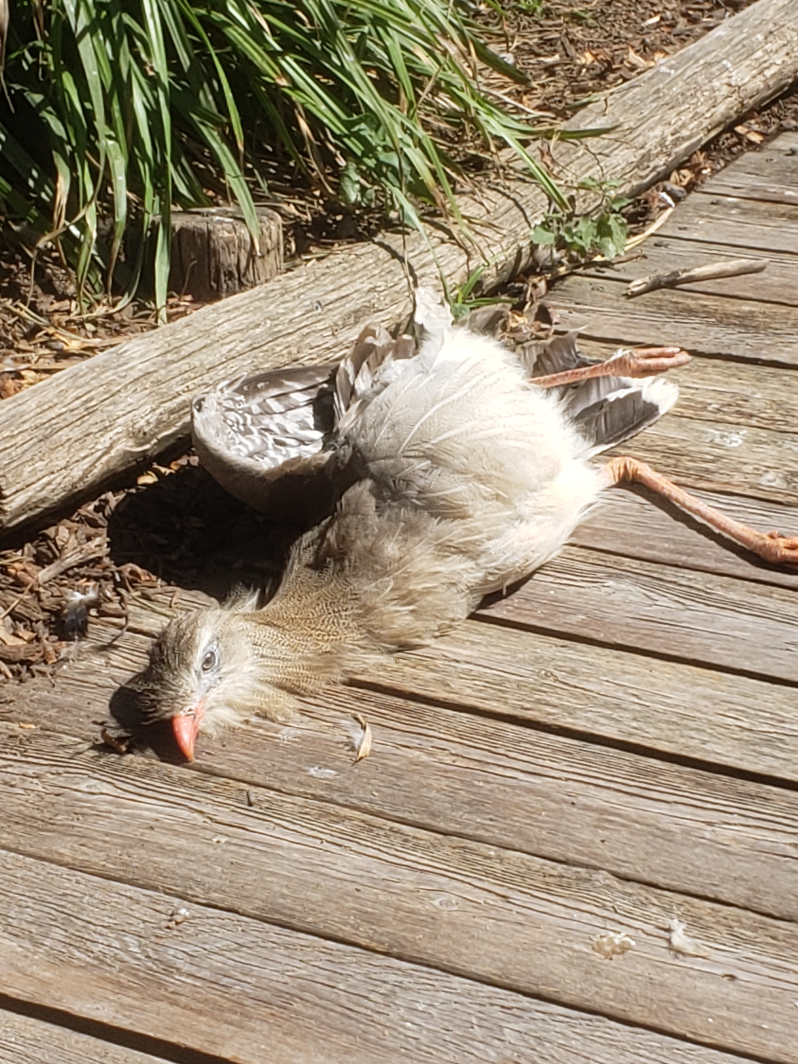 Photo n° 7 de l'avis de Severine. fait le 21/08/2023 à 19:14