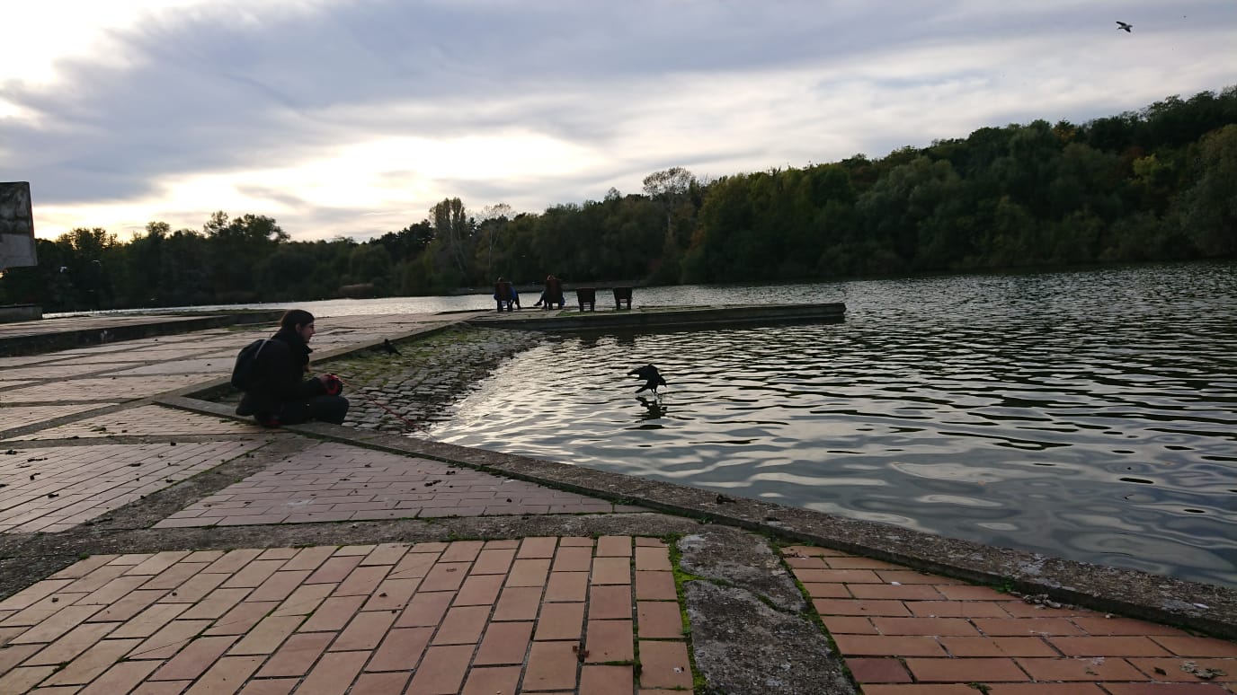 Photo n° 2 de l'avis de Elodie.o fait le 28/10/2019 à 07:53
