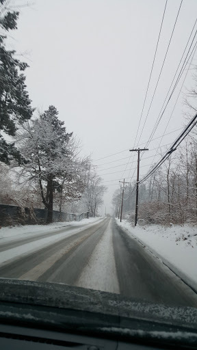 Park «Secor Woods Park», reviews and photos, Secor Rd, Hartsdale, NY 10530, USA