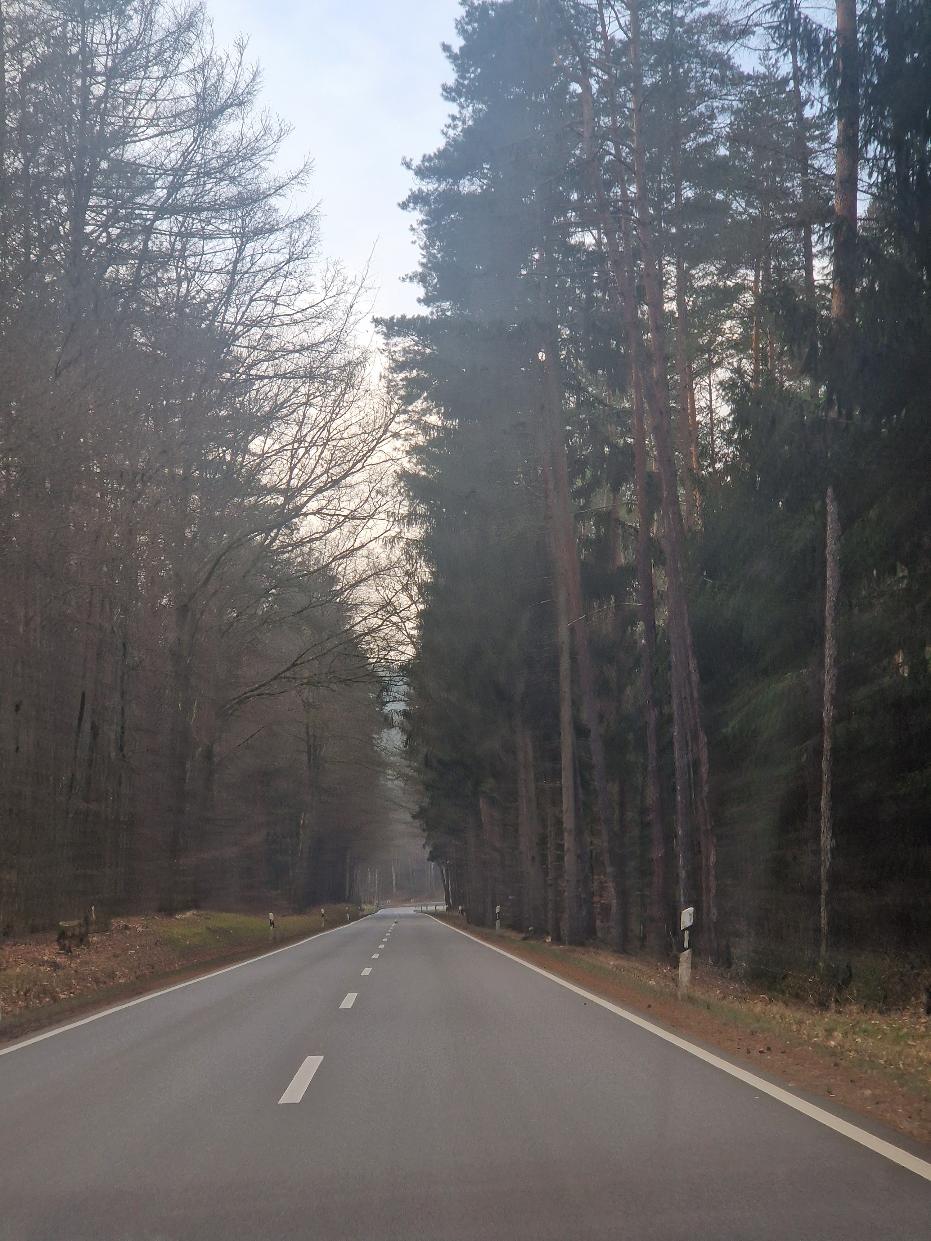 Photo n° 47 de l'avis de Beno. fait le 14/01/2024 à 20:33