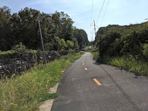 Raglan Road Park - photo 90