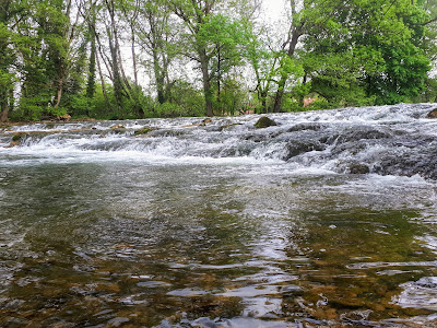 Ponsard Gilles à Arlay