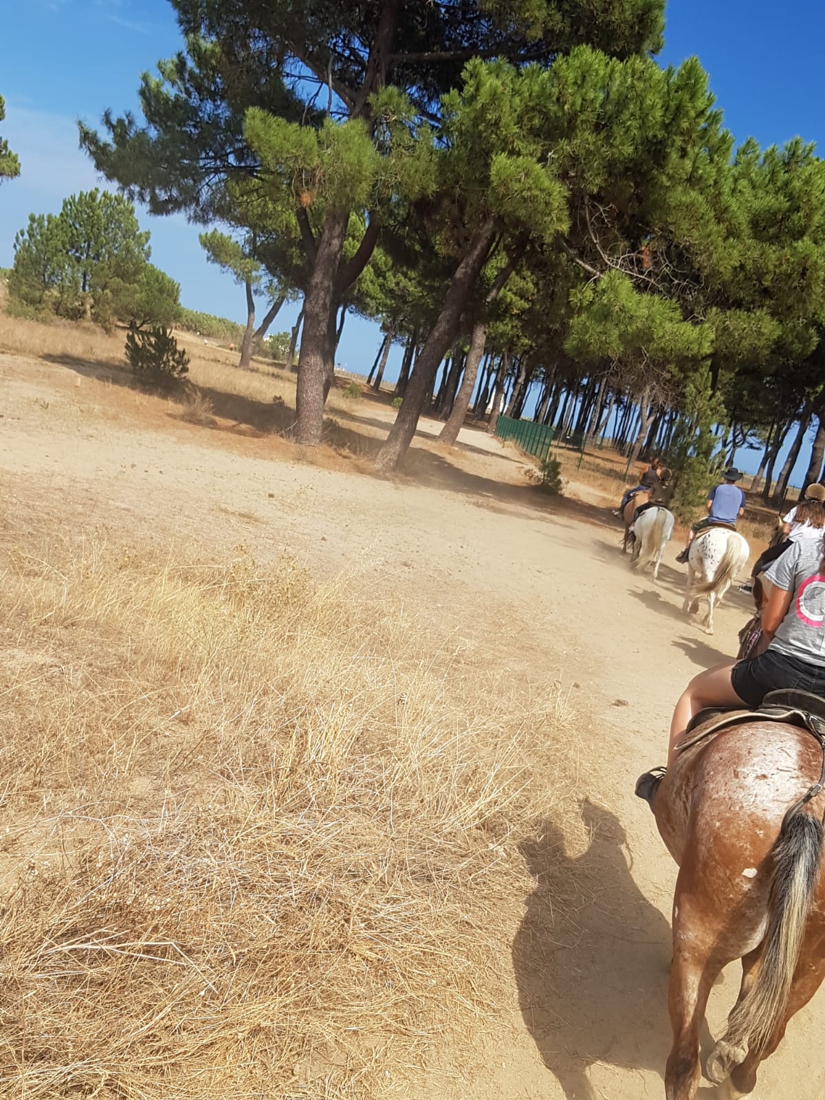 Photo n° 4 de l'avis de Hervé.E fait le 28/08/2021 à 10:37