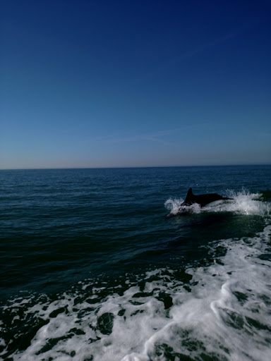 Boat Tour Agency «Dolphin Snorkeling Cruise», reviews and photos, 4630 29th Ave S, Gulfport, FL 33711, USA