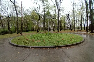 Park im. Eugeniusza Kwiatkowskiego image