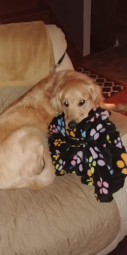 Pet Supply Store «Pets Earth», reviews and photos, 8410 S 73rd Plaza, Papillion, NE 68046, USA