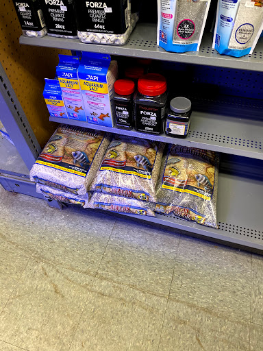 Pet Store «Fish Bowl Aquarium & Pet Mart», reviews and photos, 725 Providence St, West Warwick, RI 02893, USA