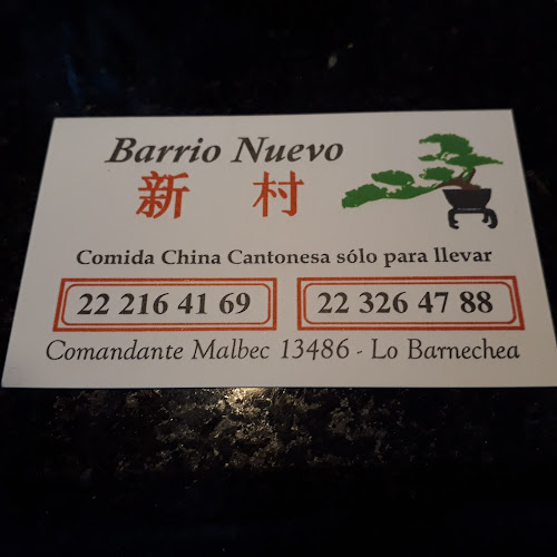 Comida China Barrio Nuevo (Delivery) - Lo Barnechea