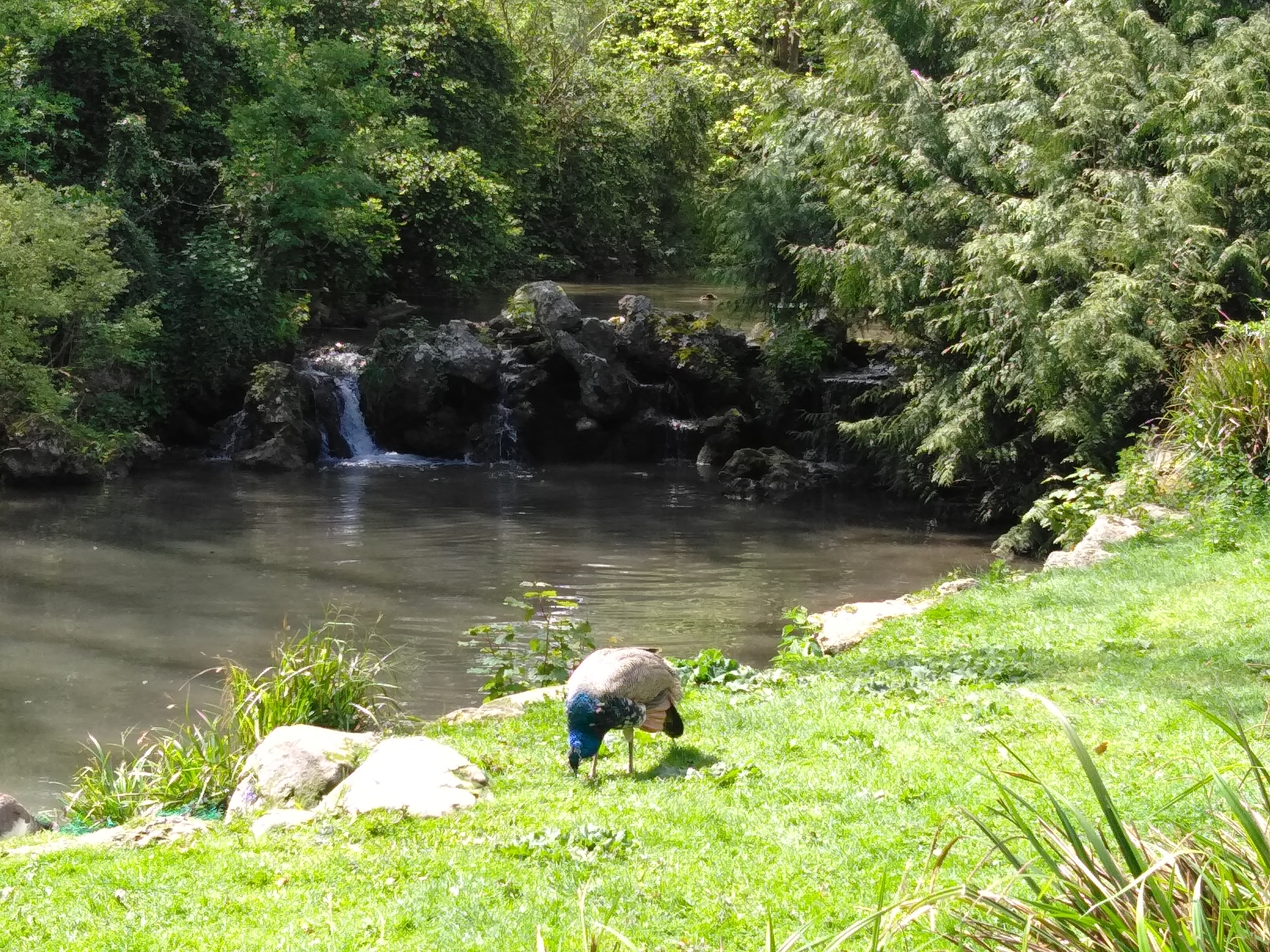 Photo n° 21 de l'avis de Francois.u fait le 08/05/2019 à 16:10