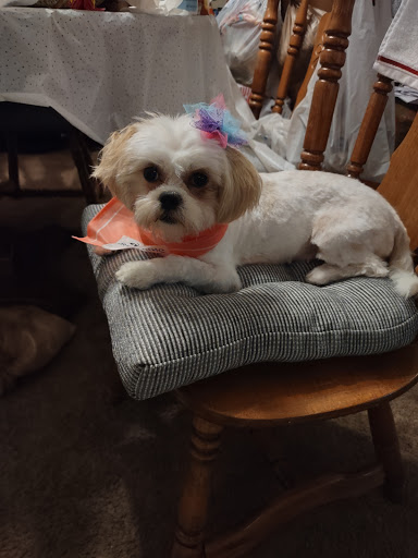 Pet Supply Store «PetSmart», reviews and photos, 4794 Jimmy Lee Smith Pkwy #108, Hiram, GA 30141, USA