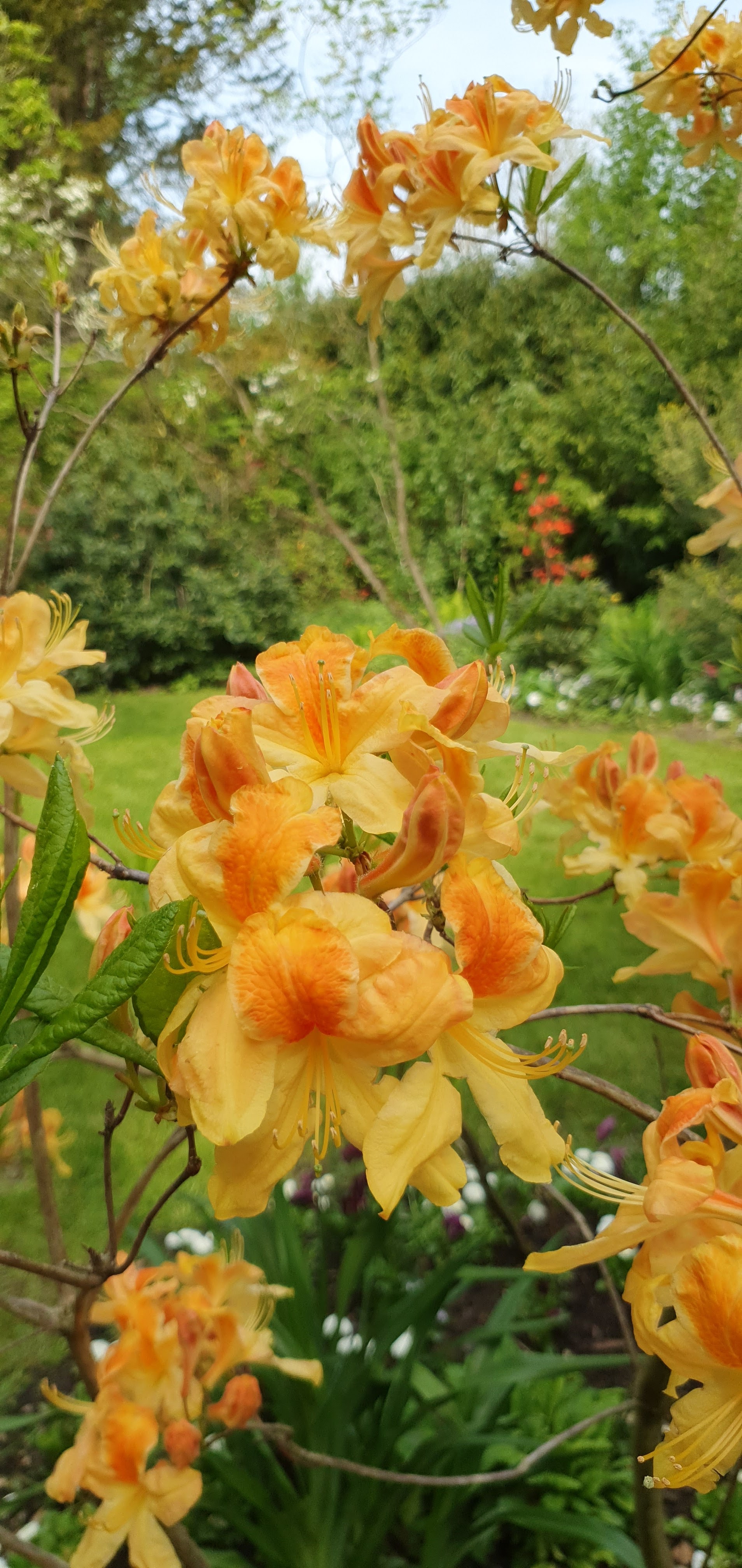 Photo n° 3 de l'avis de CS.. fait le 03/06/2022 à 19:41