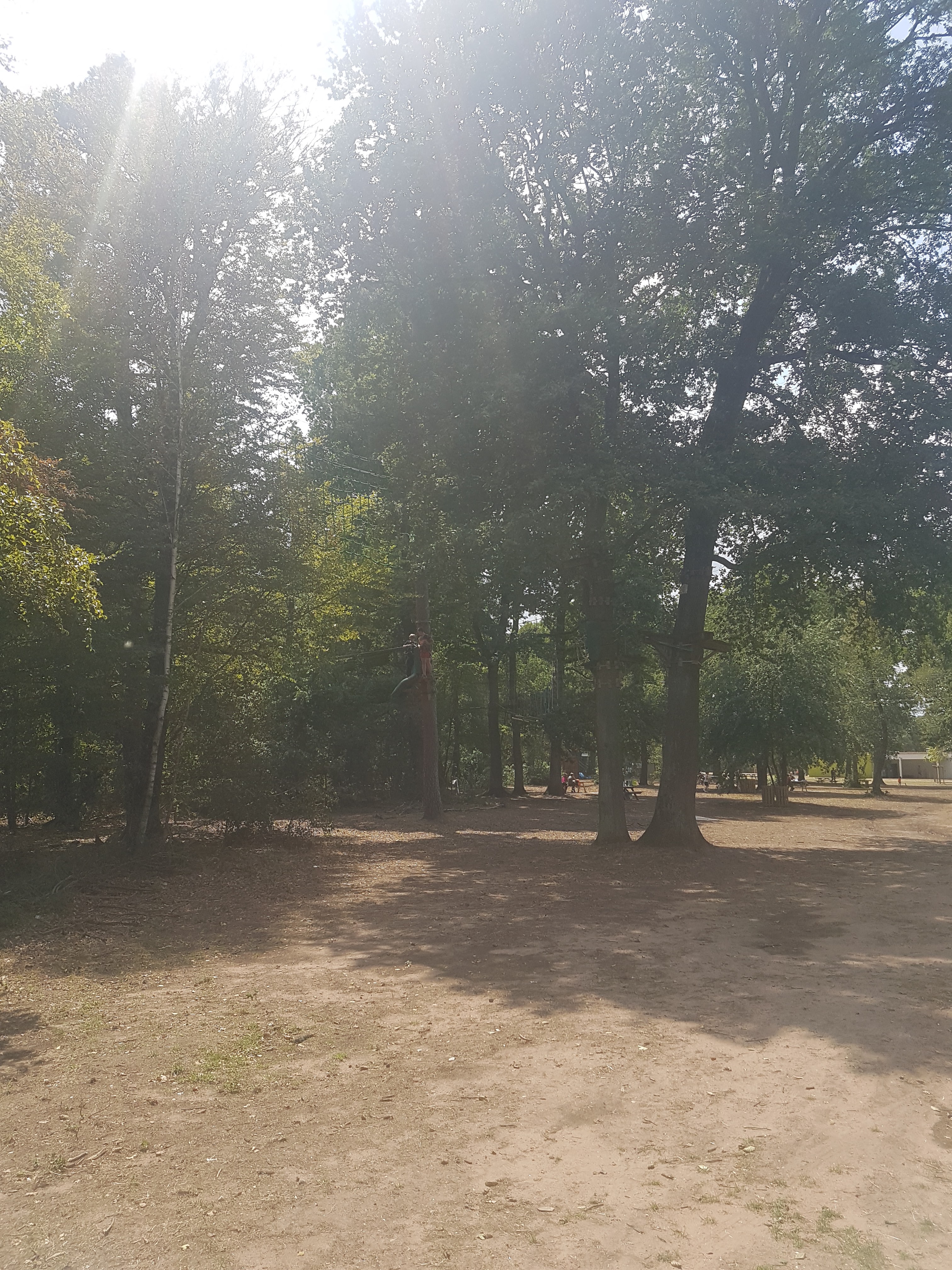 Photo n° 2 de l'avis de sylvia.t fait le 31/07/2019 à 16:07