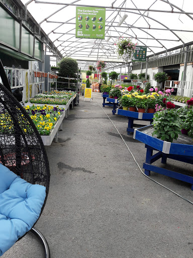 Garden of Edenmore Florist & Garden Centre (Kinsealy)