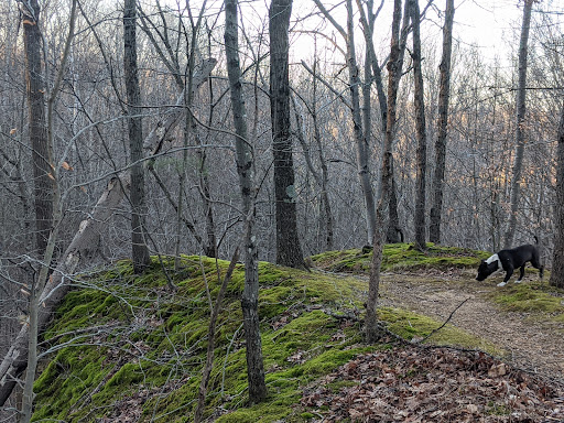 Nature Preserve «Fern Cliff Nature Preserve», reviews and photos, W County Rd 375 S, Greencastle, IN 46135, USA