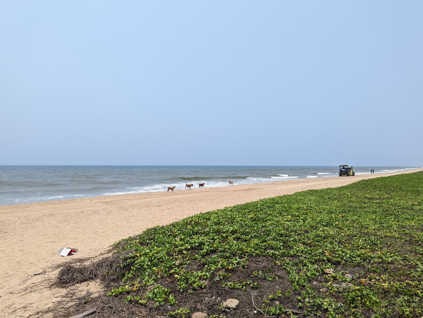 Fotografija Panaiyur Beach ECR z svetel pesek površino