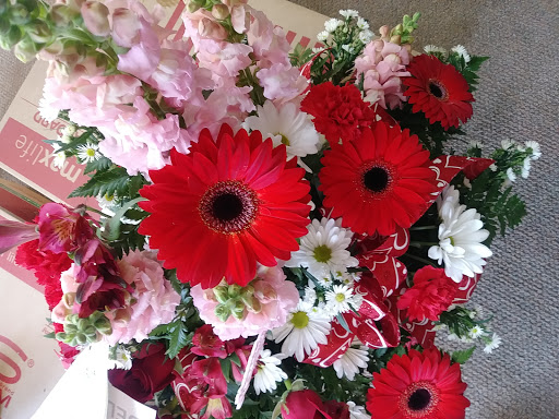 Florist «The Flower Cart», reviews and photos, 377 S Nulton Ave, Easton, PA 18045, USA