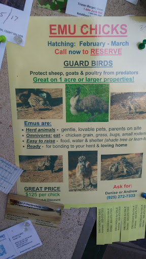 Pet Supply Store «Concord Feed Pet & Livestock Supplies», reviews and photos, 228 Hookston Rd, Pleasant Hill, CA 94523, USA