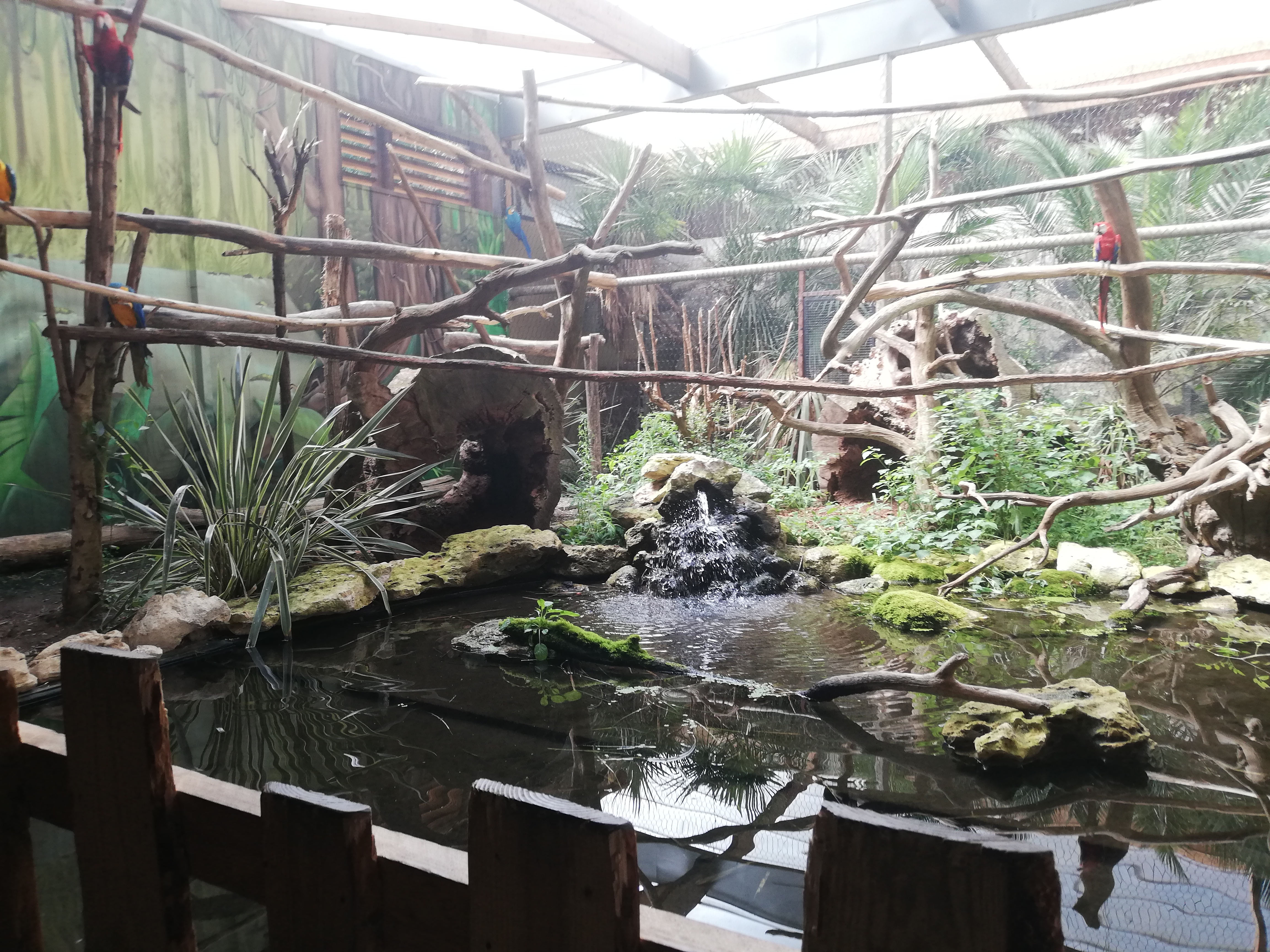 Photo n° 8 de l'avis de Soleil. fait le 20/08/2020 à 12:36