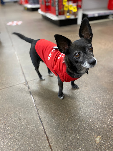 Hardware Store «Pinnacle Peak Ace Hardware», reviews and photos, 23623 N Scottsdale Rd, Scottsdale, AZ 85255, USA