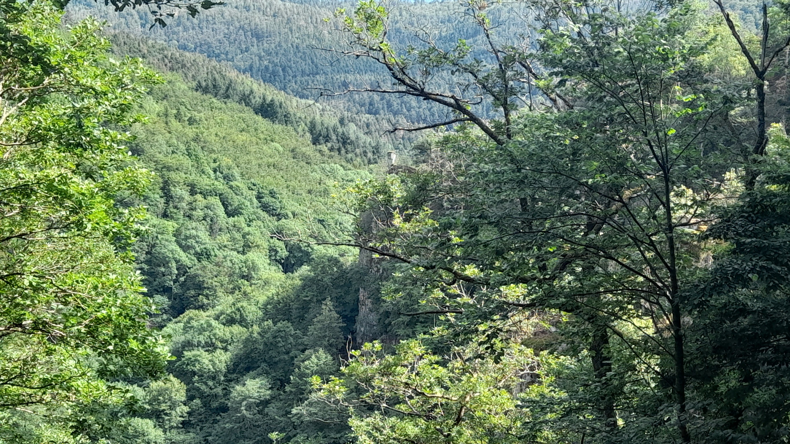 Photo n° 10 de l'avis de Kris.c fait le 20/07/2022 à 13:28