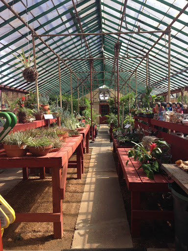 Evergreen Garden Center