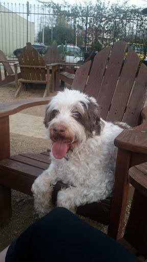 Bar «Pour Haus Patio Bar», reviews and photos, 343 W San Antonio St, New Braunfels, TX 78130, USA