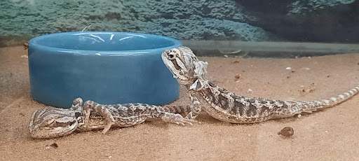 Pet Supply Store «Petco Animal Supplies», reviews and photos, 1 US-46, Totowa, NJ 07512, USA