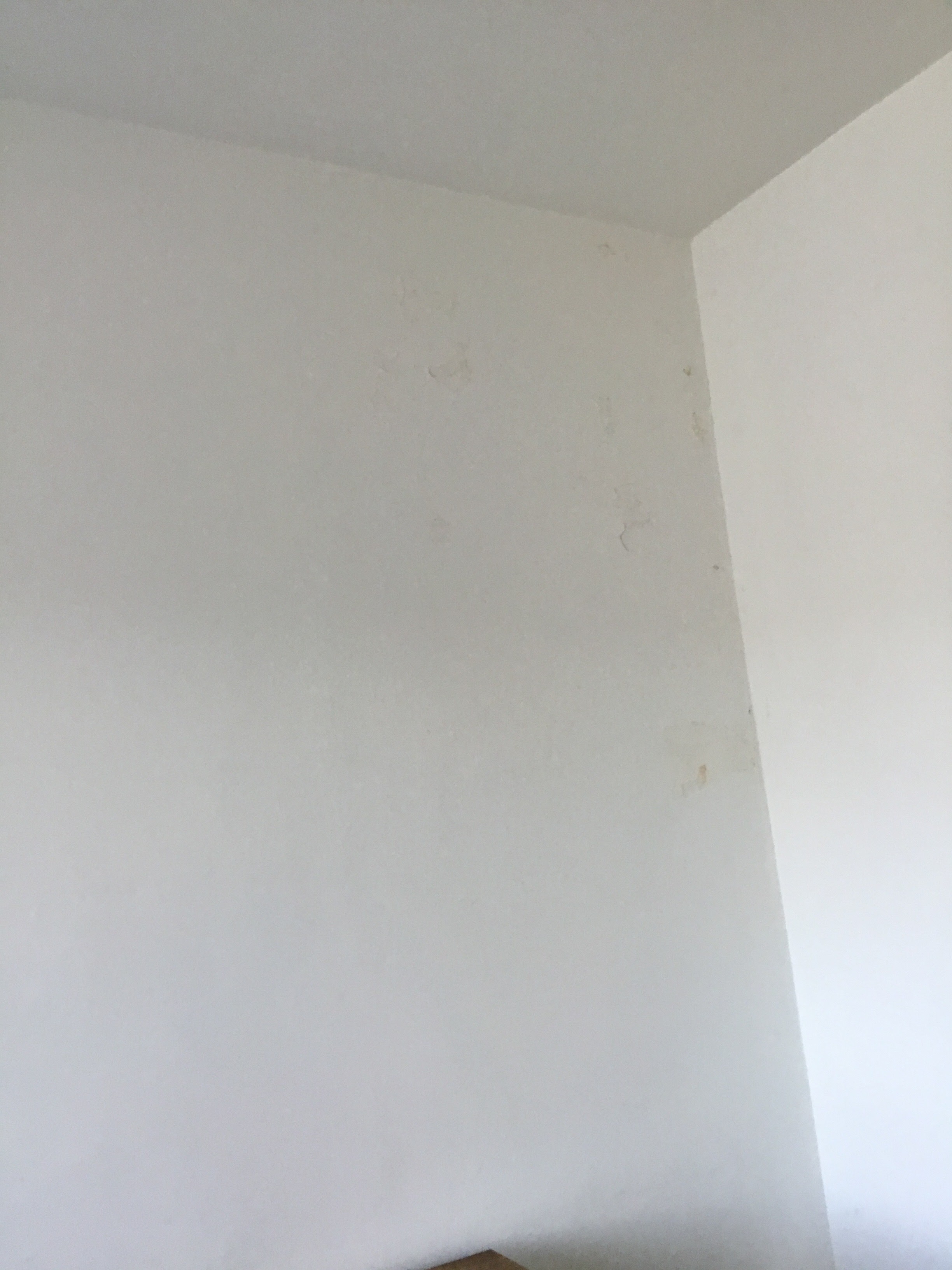 Photo n° 6 de l'avis de Ruddy.o fait le 09/03/2024 à 12:37