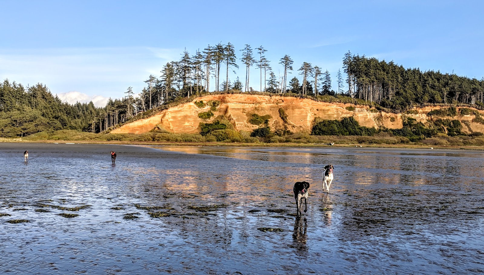 Foto van Roosevelt Beach met hoog niveau van netheid