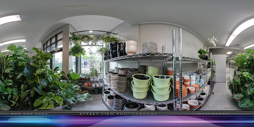 Florist «Central Square Florist», reviews and photos, 653 Massachusetts Ave, Cambridge, MA 02139, USA