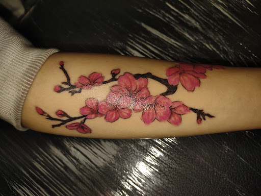 Tattoo and Piercing Shop «Hollywood Ink Tattoos», reviews and photos, 3501 S Tryon St, Charlotte, NC 28217, USA