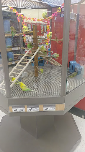 Pet Supply Store «Petco Animal Supplies», reviews and photos, 8164 Mall Pkwy, Lithonia, GA 30038, USA