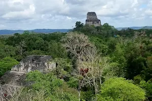 Reserva de Biosfera Maya image