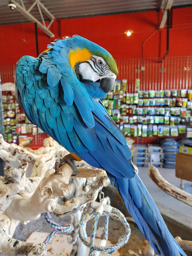 Pet Supply Store «All Pets Club», reviews and photos, 479 E Main St, Branford, CT 06405, USA