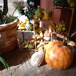 Photo n°9 de l'avis de Valeria.a fait le 13/02/2022 à 20:59 sur le  Locanda della Zucca à San Bartolomeo In Bosco