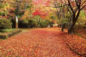 Kimimachizaka Prefectural Nature Park image