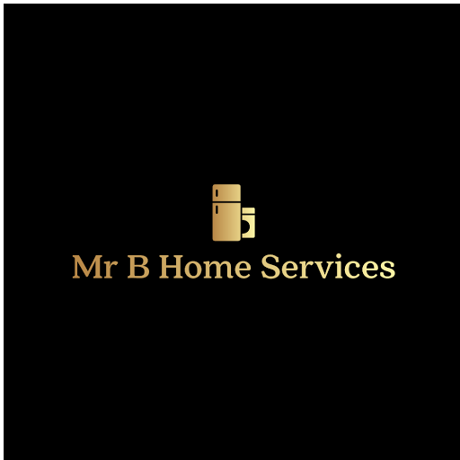 Mr B Home Services in Cape Coral, Florida