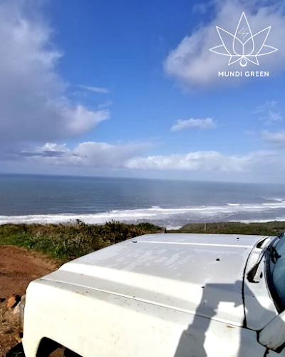 Mundi Green 4X4 Experiences - Tours - Sightseeing - Figueira da Foz