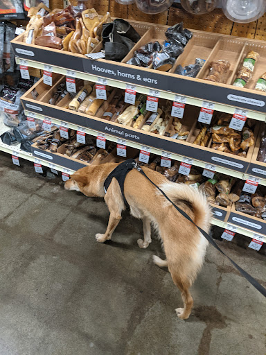 Pet Supply Store «PetSmart», reviews and photos, 100 108th Ave NE, Bellevue, WA 98004, USA