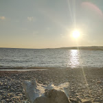 Photo n°1 de l'avis de Marta.a fait le 03/09/2023 à 00:45 sur le  Danny's Point à Santa Marinella