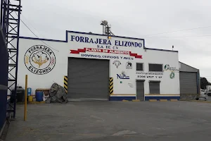 Forrajera Elizondo image