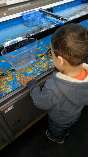 Pet Supply Store «Pet Supplies Plus», reviews and photos, 135-25 79th St, Howard Beach, NY 11414, USA