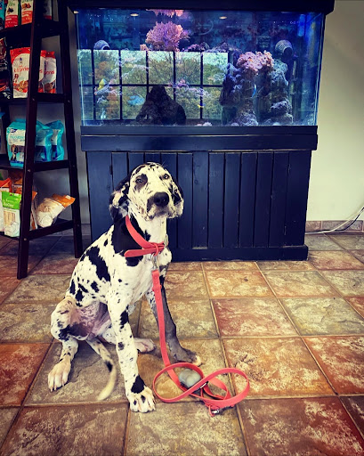 Pet Wellness Animal Hospital & Center image