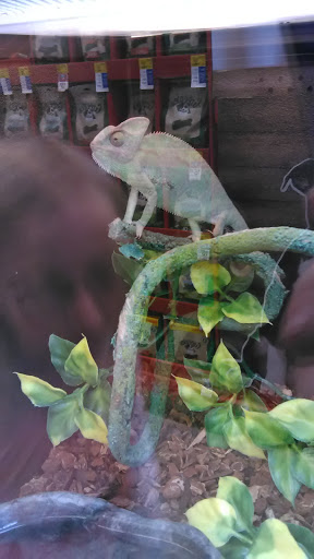 Pet Supply Store «PetSmart», reviews and photos, 1417 W Interstate 240 Service Rd, Oklahoma City, OK 73159, USA