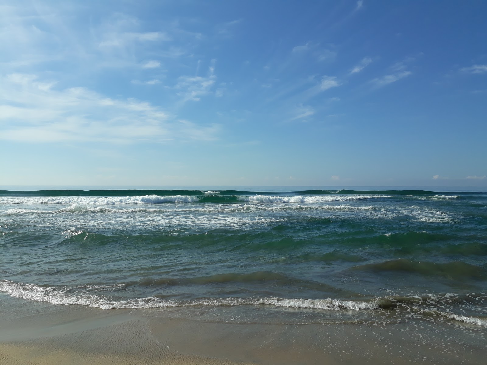 Playa Los Zacatales的照片 带有长直海岸