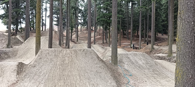 Comments and reviews of Lismore Jump Bike Park