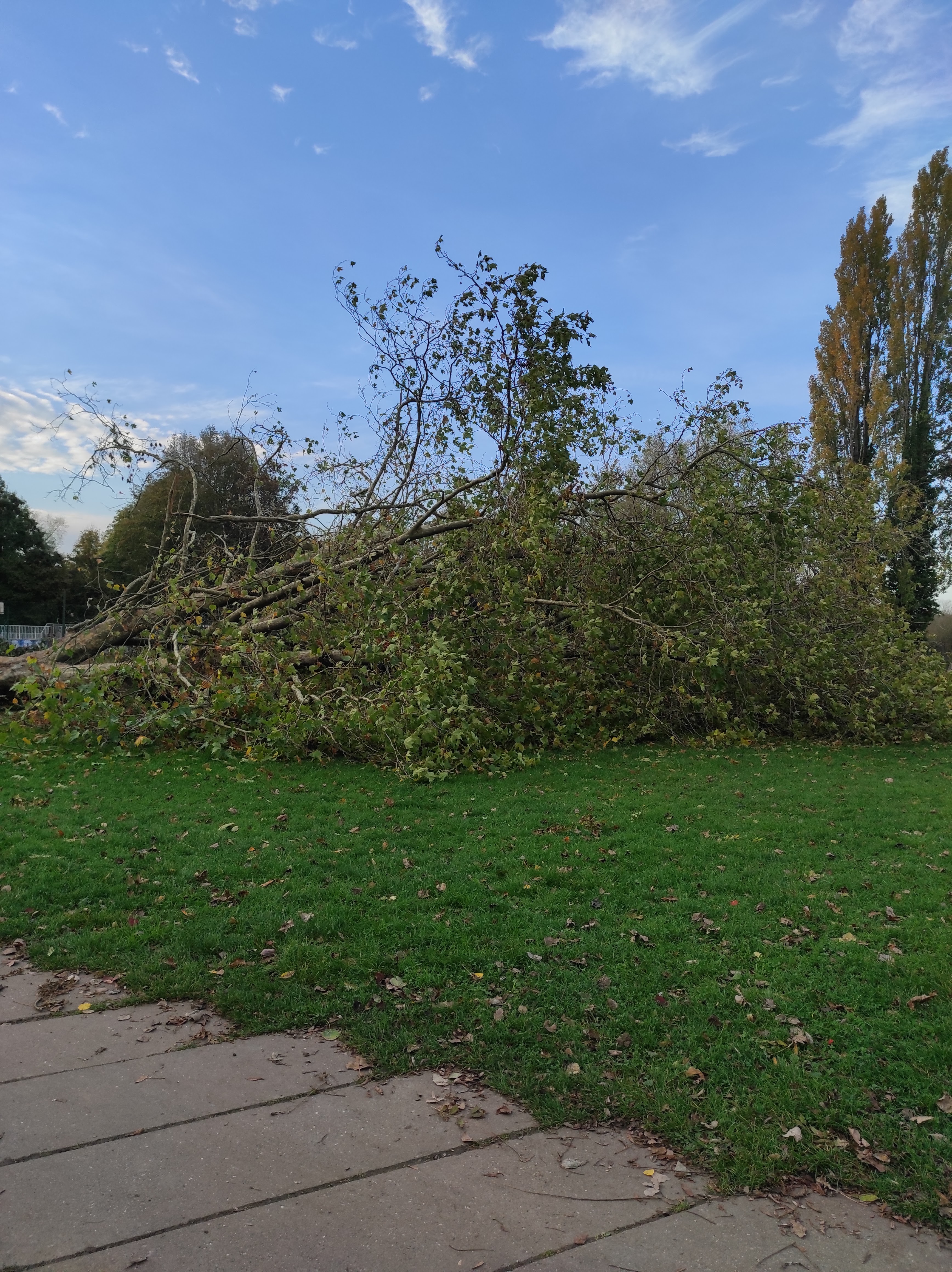 Photo n° 4 de l'avis de nadine.o fait le 29/10/2022 à 17:42