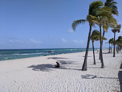Hollywood beach'in fotoğrafı ve yerleşim